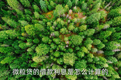 微粒貸的借款利息是怎么計算的