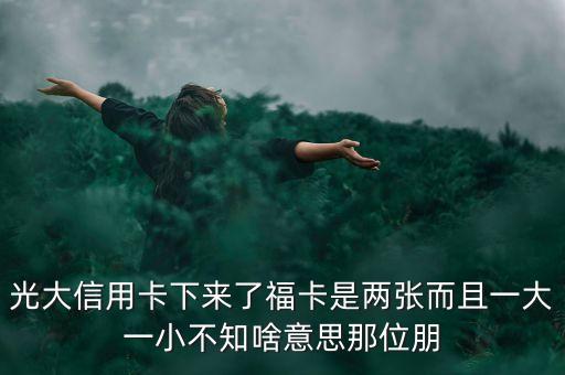 光大?？ㄔ趺词莾蓮?，我申請光大銀行的信用卡怎么有兩張卡