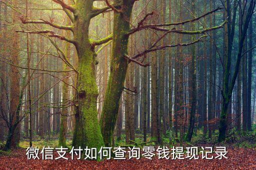 微信支付如何查詢零錢(qián)提現(xiàn)記錄