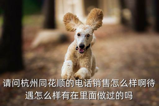 同花順的電話銷(xiāo)售怎么樣，請(qǐng)問(wèn)杭州同花順的電話銷(xiāo)售怎么樣啊待遇怎么樣有在里面做過(guò)的嗎