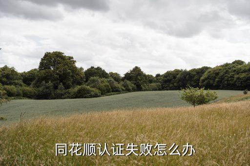 手機(jī)同花順認(rèn)證失敗怎么回事，同花順實(shí)名認(rèn)證審核沒(méi)通過(guò)怎么辦