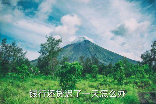 還貸晚一天怎么辦，工行住房貸款還款晚了幾天怎么辦