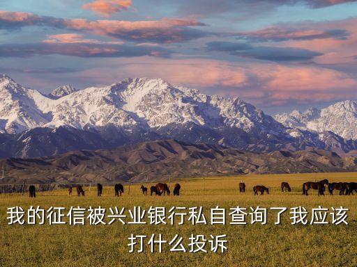 我的征信被興業(yè)銀行私自查詢了我應(yīng)該打什么投訴
