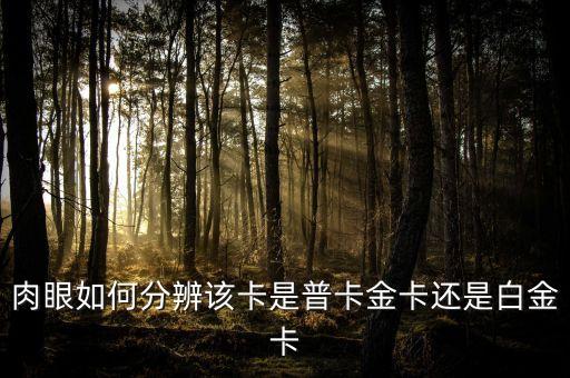 信用卡怎么分辨金卡，如何區(qū)分信用卡是普卡還是金卡