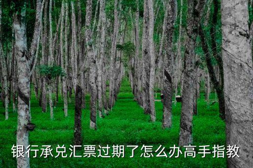銀行匯票逾期怎么辦，銀行承兌匯票過期怎么處理