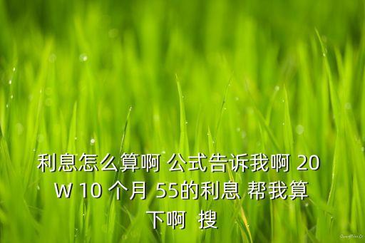 利息怎么算啊 公式告訴我啊 20 W 10 個月 55的利息 幫我算下啊  搜