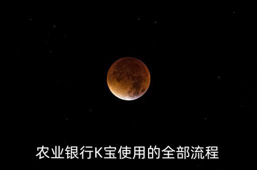 農(nóng)業(yè)銀行K寶使用的全部流程