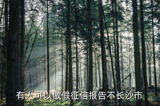 怎么制作假征信，我暫時(shí)沒有工作現(xiàn)在急需要錢我想去做假資料去信用貸款有沒有