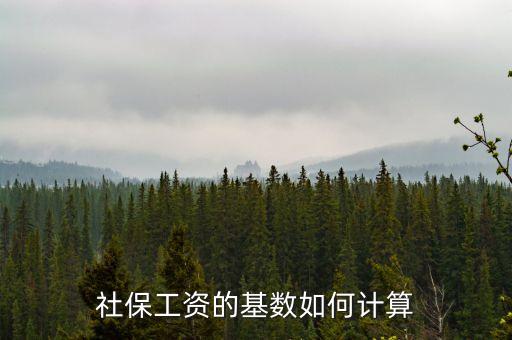 社保工資的基數(shù)如何計算