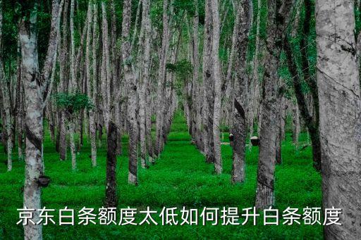 京東白條額度太低如何提升白條額度