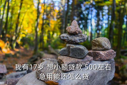 我有17歲 想小額貸款 500左右 急用能還怎么貸