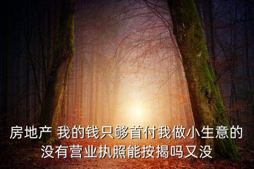 房地產(chǎn) 我的錢只夠首付我做小生意的沒有營(yíng)業(yè)執(zhí)照能按揭嗎又沒