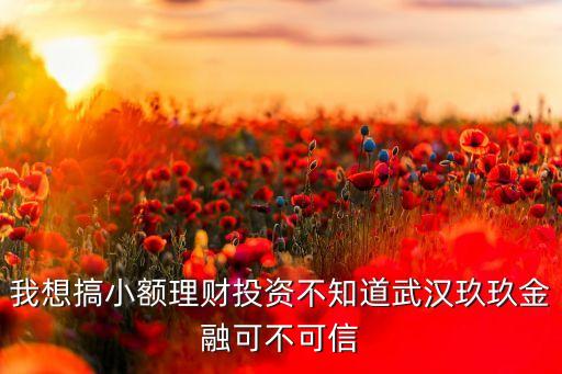 我想搞小額理財(cái)投資不知道武漢玖玖金融可不可信