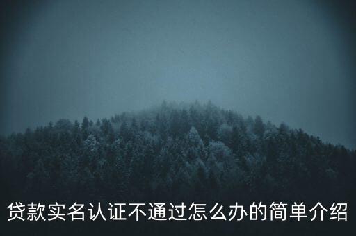 貸款實(shí)名認(rèn)證不通過怎么辦的簡單介紹