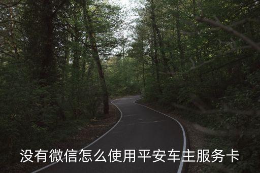 沒有微信怎么使用平安車主服務(wù)卡