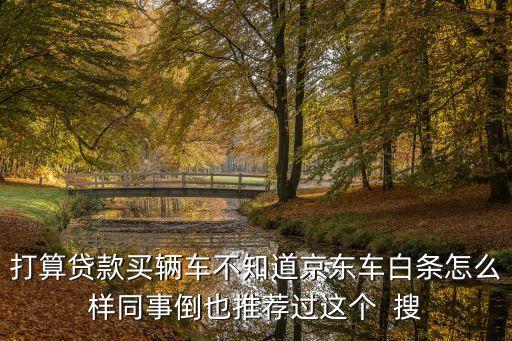 京東的汽車白條怎么樣，汽車抵押貸款哪個(gè)好想找個(gè)靠譜點(diǎn)的京東車白條怎么樣