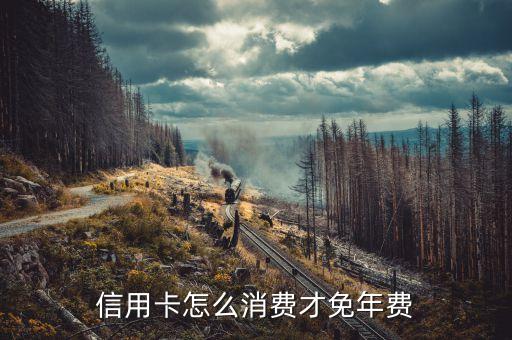 信用卡怎么消費才免年費