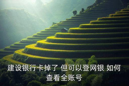 建設銀行卡掉了 但可以登網(wǎng)銀 如何查看全賬號