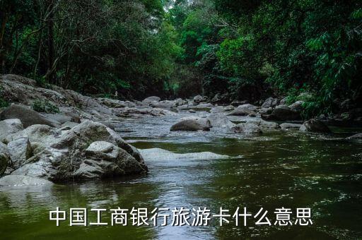 品牌旅游卡是怎么回事，什么是國通旅游卡是中石油的嗎