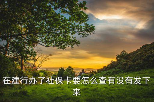建行95533怎么查社保卡，今天在建行里用社?？ㄞk理的怎么查詢