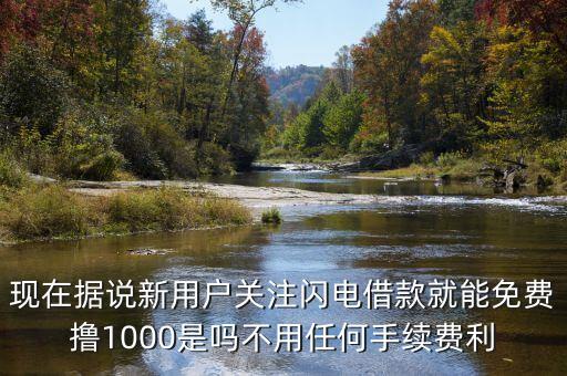 現(xiàn)在據(jù)說新用戶關(guān)注閃電借款就能免費(fèi)擼1000是嗎不用任何手續(xù)費(fèi)利