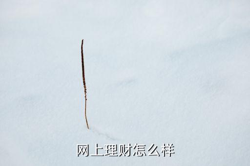 網(wǎng)上理財怎么樣