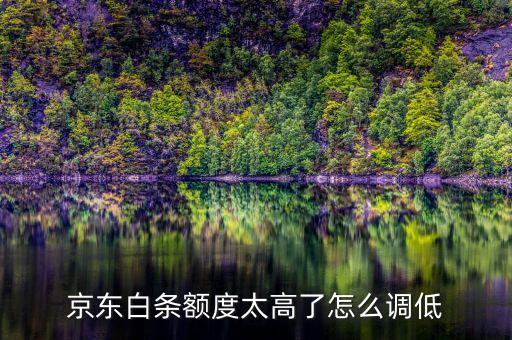 京東白條額度太高了怎么調(diào)低