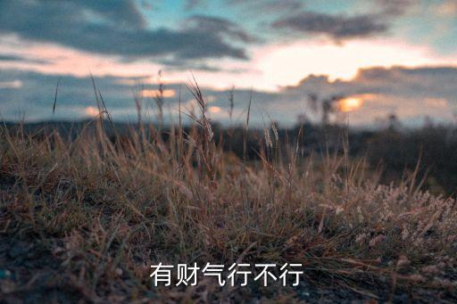 有財(cái)氣平臺(tái)怎么樣，有財(cái)氣行不行