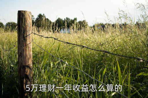 5萬理財(cái)一年收益怎么算的