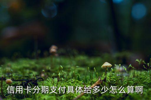 信用卡分期金額怎么算的，信用卡分期還錢怎么算