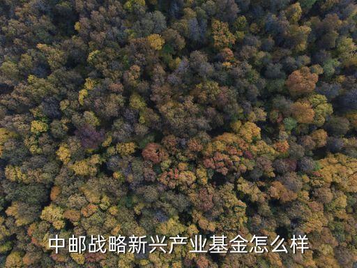 中郵新興產業(yè)混合基金怎么樣，中郵戰(zhàn)略新興產業(yè)股票型基金怎么樣現(xiàn)在能拋售嗎求指點