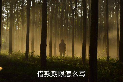 貸款申請(qǐng)期限怎么填，貸款期限怎么填寫(xiě)的啊