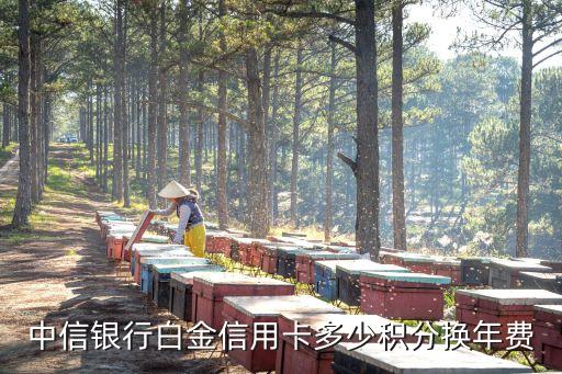 中信銀行白金信用卡多少積分換年費(fèi)
