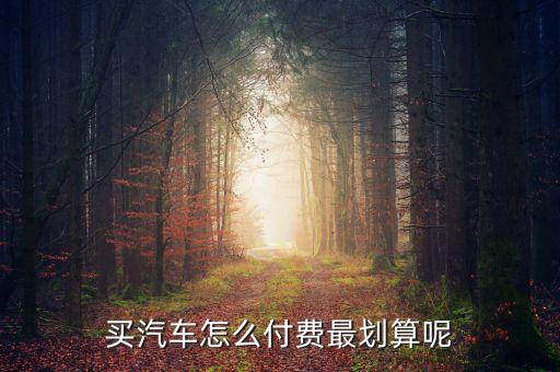 買汽車怎么付費最劃算呢