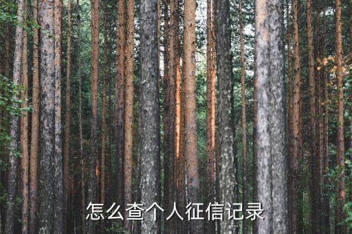 怎么網(wǎng)上查詢?nèi)诵姓餍?，個(gè)人征信怎么查