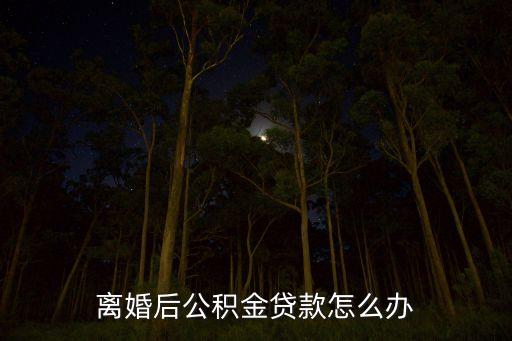 離婚買(mǎi)房貸款公積金貸款怎么辦理流程，離婚公積金貸款怎么辦