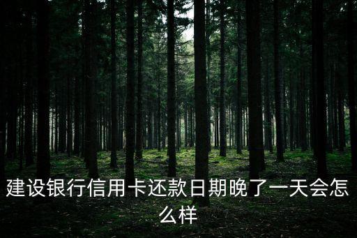 建設(shè)銀行信用卡還款日期晚了一天會(huì)怎么樣
