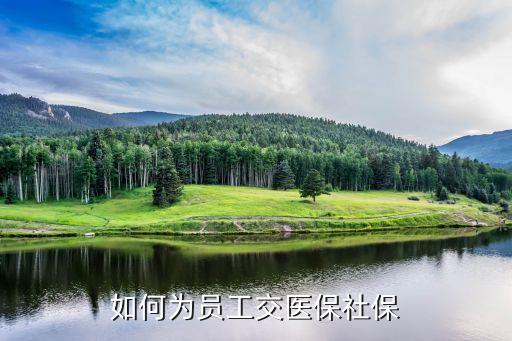 醫(yī)保單位繳費(fèi)怎么辦理，企業(yè)給員工交社保 和醫(yī)保 流程