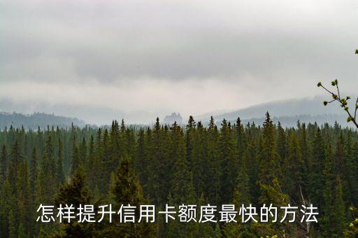 怎樣提升信用卡額度最快的方法