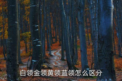 白領(lǐng)金領(lǐng)黃領(lǐng)藍(lán)領(lǐng)怎么區(qū)分