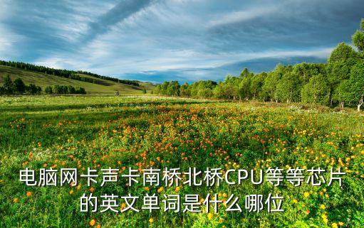 主卡副卡英文怎么說，信用卡 子卡 和 父卡 用英語怎么說