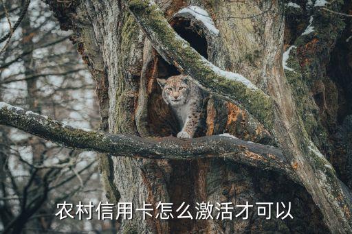 怎么激活農(nóng)村信用卡，農(nóng)村信用社的卡怎么激活