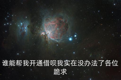 誰能幫我開通借唄我實在沒辦法了各位跪求