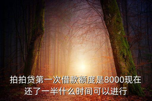 拍拍貸第一次借款額度是8000現(xiàn)在還了一半什么時間可以進行