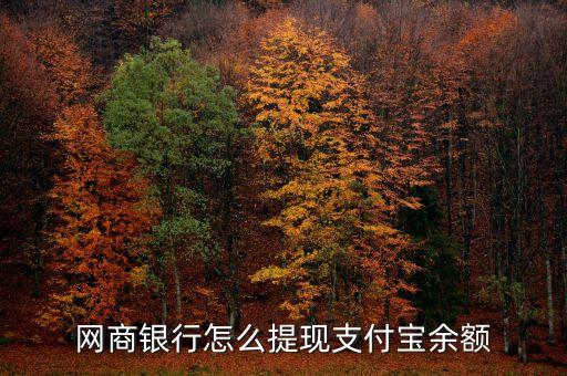 網(wǎng)商銀行怎么提現(xiàn)支付寶余額