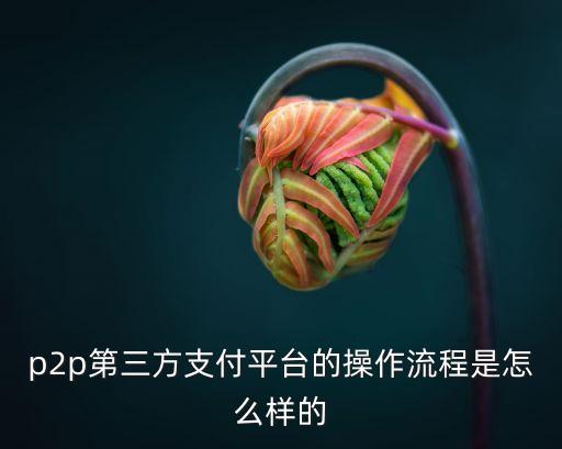 三方網(wǎng)貸認證怎么認證，銀行簽完三方回來怎么認證