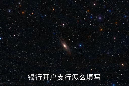 開戶支行信息怎么填寫，銀行開戶支行怎么填寫