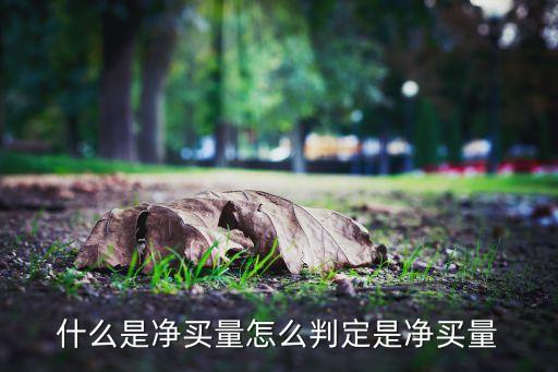 什么是凈買量怎么判定是凈買量