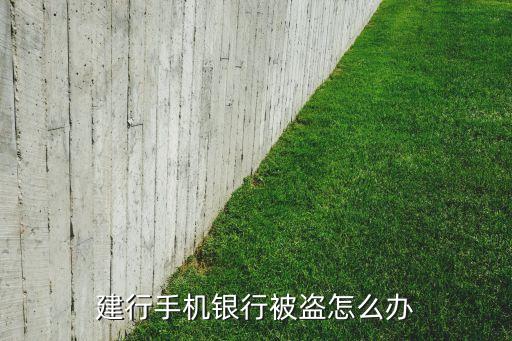 建行手機銀行被盜怎么辦