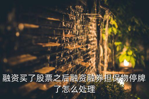 融資買了股票之后融資融券擔(dān)保物停牌了怎么處理